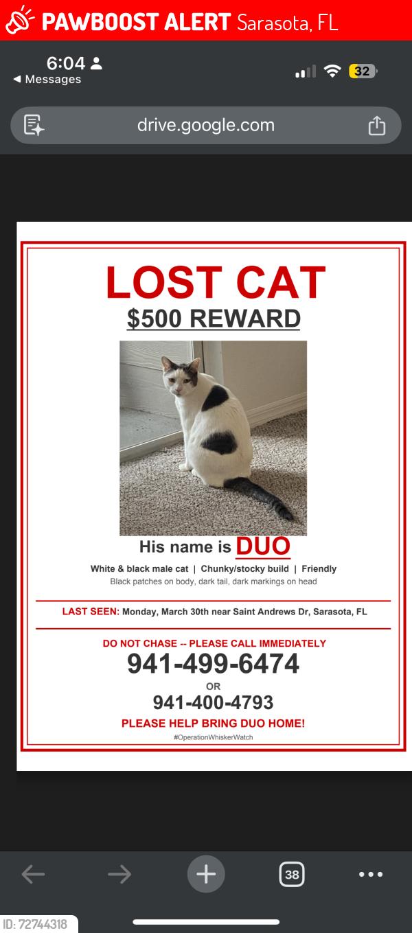 Lost Male Cat last seen I don’t know, Sarasota, FL 34243