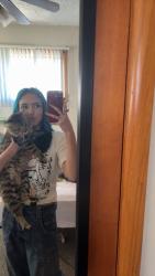 Lost Male Cat last seen Madison Avenue Central Park, Derby, KS 67037