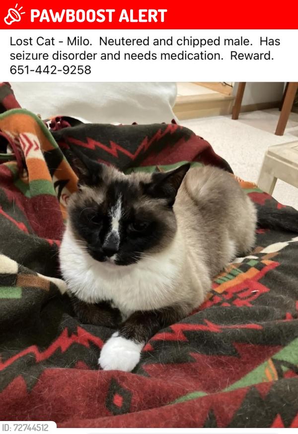 Lost Male Cat last seen Cloman Path and Conrad Ave, Inver Grove Heights, MN 55076