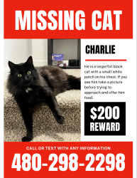 Lost Male Cat last seen Near kit circle St Anthony, Saint Anthony, ID 83445