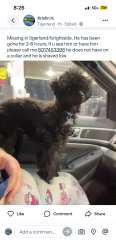 Lost Male Dog last seen Brightside and brightside view dr, Baton Rouge, LA 70820