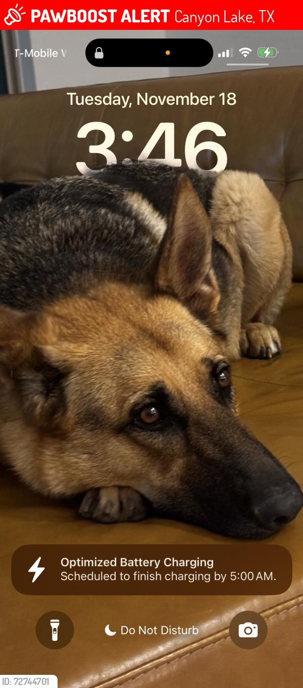 Lost Male Dog last seen Near naked Indian Trl , Canyon Lake, TX 78132