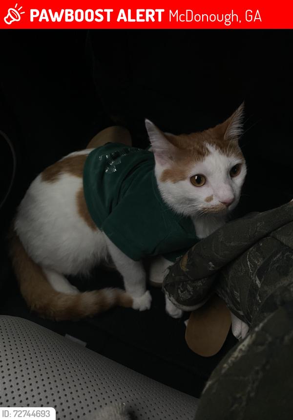 Lost Male Cat last seen Atlanta St, McDonough, GA 30253