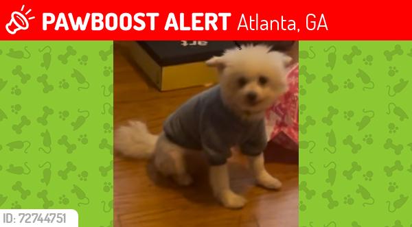 Lost Male Dog last seen United Ave, Atlanta, GA 30312