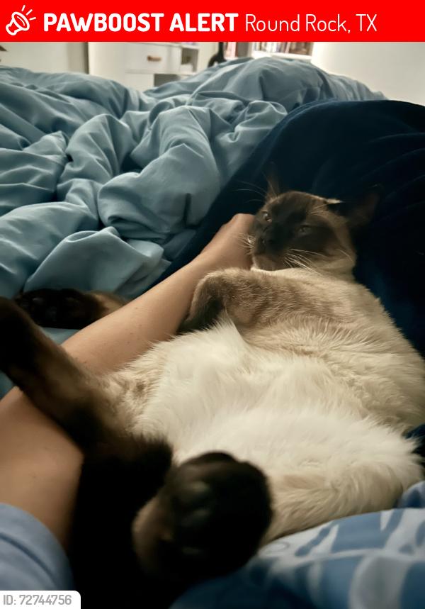 Lost Male Cat last seen Tiger Trl and AW Grimes, Round Rock, TX 78664