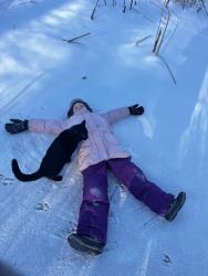 Lost Male Cat last seen near Green Acres Sledding Hill, Lake Elmo, MN 55042
