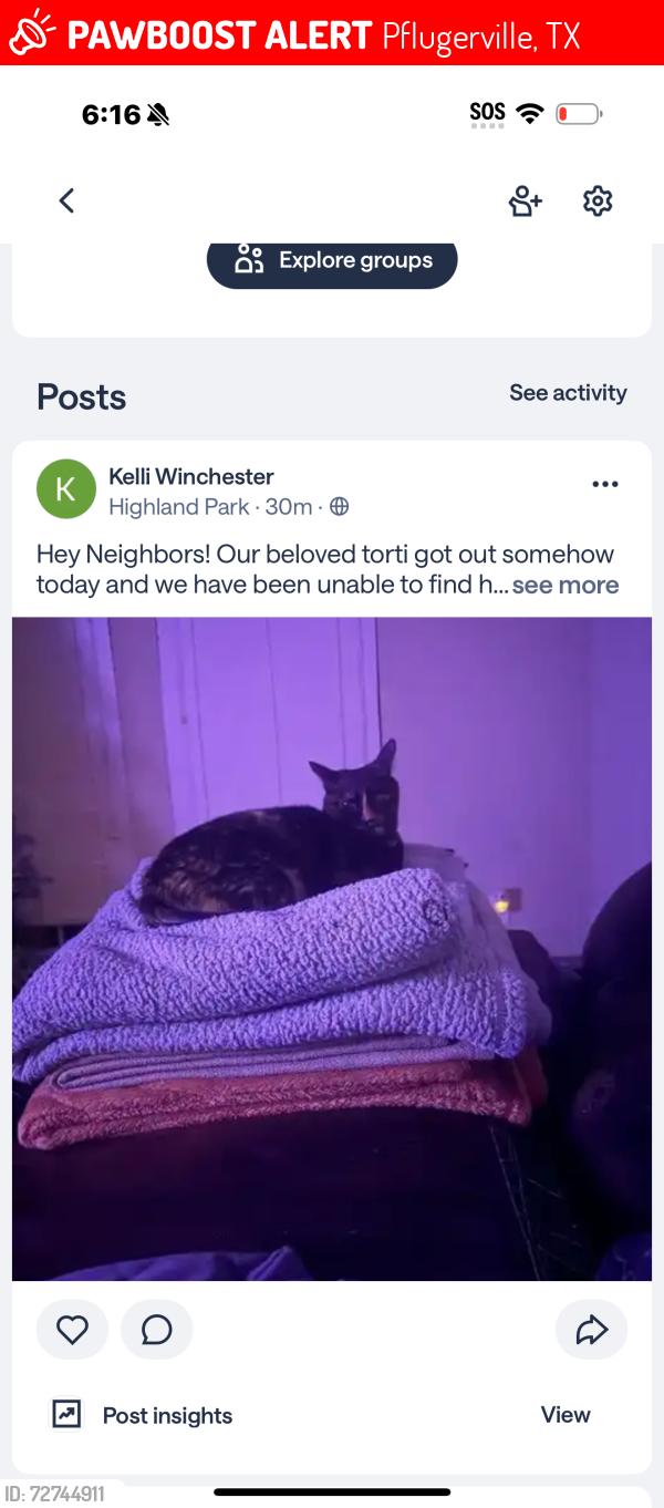 Lost Female Cat last seen Bandalier and badlands dr, Pflugerville, TX 78660