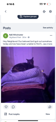 Lost Female Cat last seen Bandalier and badlands dr, Pflugerville, TX 78660