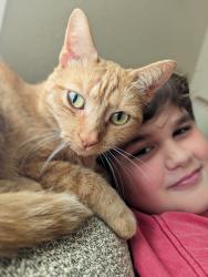 Lost Female Cat last seen Deaver Rd, REMC, Columbus, IN 47201
