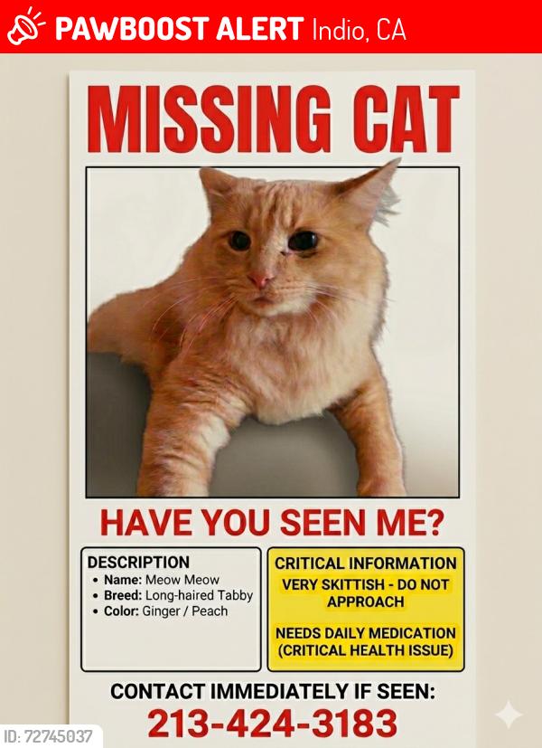 Lost Male Cat last seen Talavera commu ity, Indio, CA 92203