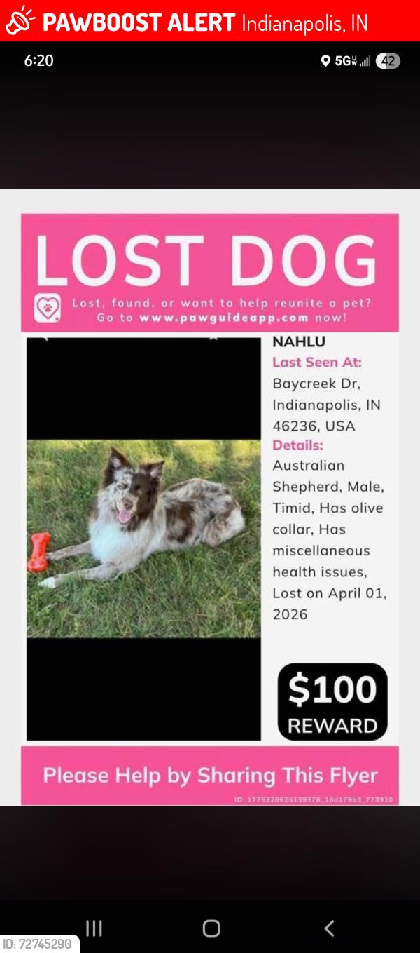 Lost Male Dog last seen Baycreek Dr , Indianapolis, IN 46236