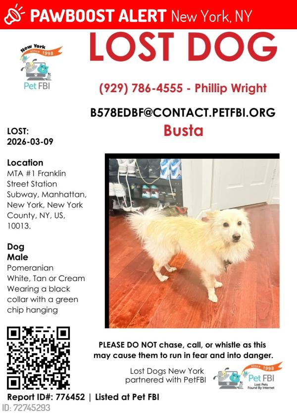 Lost Male Dog last seen Franklin ave 1 train platform ( manhattan), New York, NY 10007