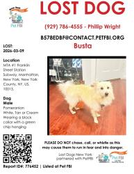 Lost Male Dog last seen Franklin ave 1 train platform ( manhattan), New York, NY 10007