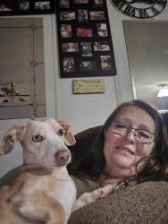 Lost Male Dog last seen East Central , Lorena, TX 76655