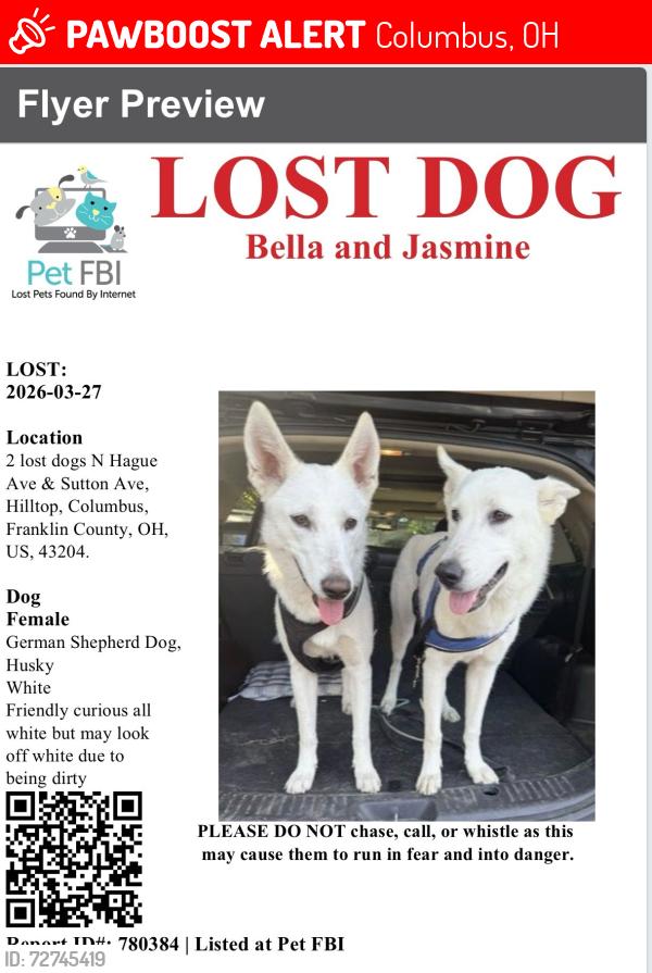 Lost Female Dog last seen N Hague and Sutton Ave 43204, Columbus, OH 43204