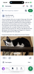 Lost Male Cat last seen Hermatige and Regent Ct near west gate Bentwater , Montgomery County, TX 77356