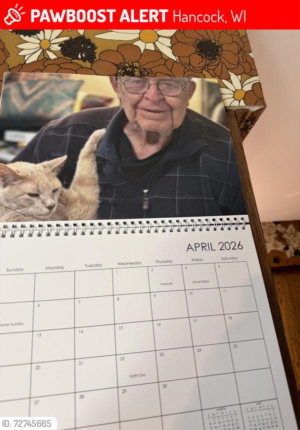Lost Male Cat last seen Tomorrow Wood Campground, Hancock, WI 54943