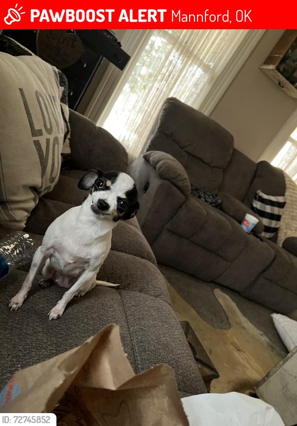 Lost Female Dog last seen Nth west avenue, Mannford, OK 74044