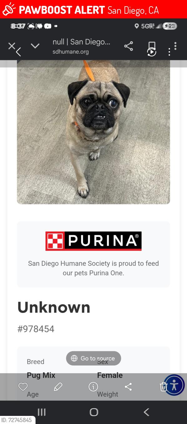 Lost Female Dog last seen Pilot truck stop in Otay mesa , San Diego, CA 92154
