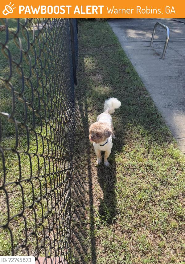 Found/Stray Male Dog last seen Heritage , Warner Robins, GA 31093