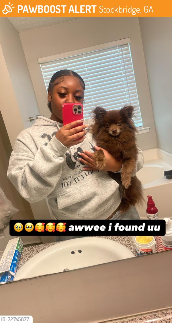Found/Stray Female Dog last seen Near kinley ln, Stockbridge, GA 30281