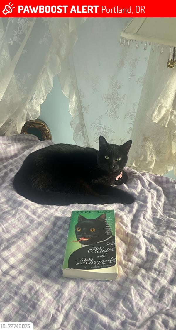Lost Male Cat last seen se 130th and se powell , Portland, OR 97236