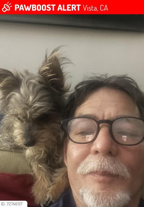 Lost Female Dog last seen Crestview, Vista, CA 92081