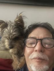 Lost Female Dog last seen Crestview, Vista, CA 92081
