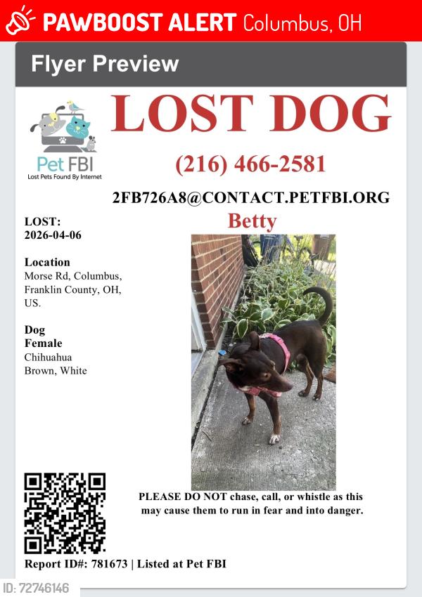 Lost Female Dog last seen morse and karl rd, Columbus, OH 43215