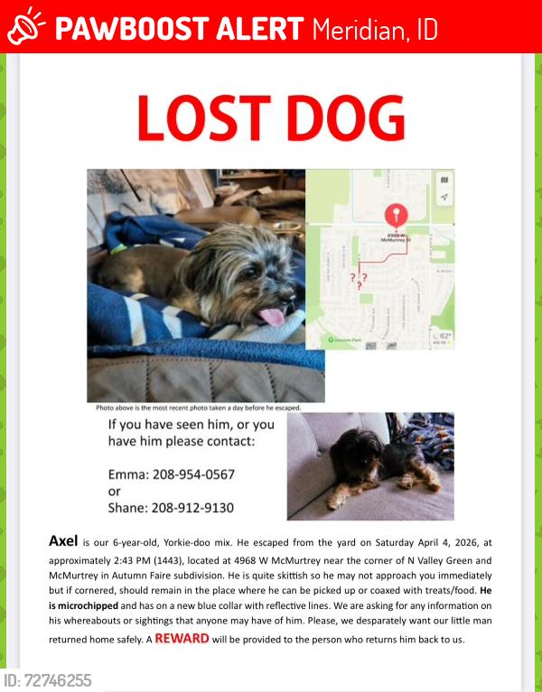 Lost Male Dog last seen black cat and ustick, Meridian, ID 83646