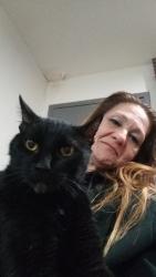 Lost Male Cat last seen Days inn parking lot , Tulsa, OK 74137