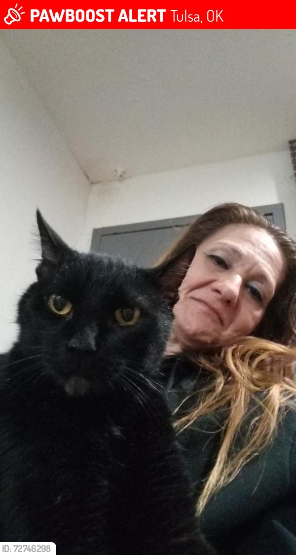 Lost Male Cat last seen Days inn parking lot, Tulsa, OK 74137