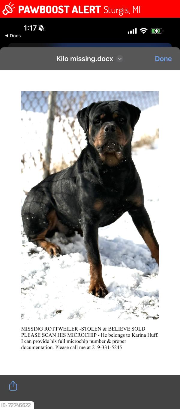Lost Male Dog last seen Memory lanes mobile , Sturgis, MI 49091