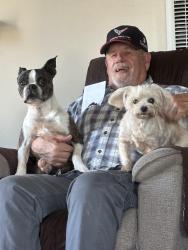 Lost Male Dog last seen Burson wat, El Rio, CA 93036