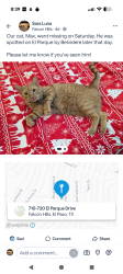 Lost Male Cat last seen Espolon and Villa Vanessa, El Paso, TX 79912