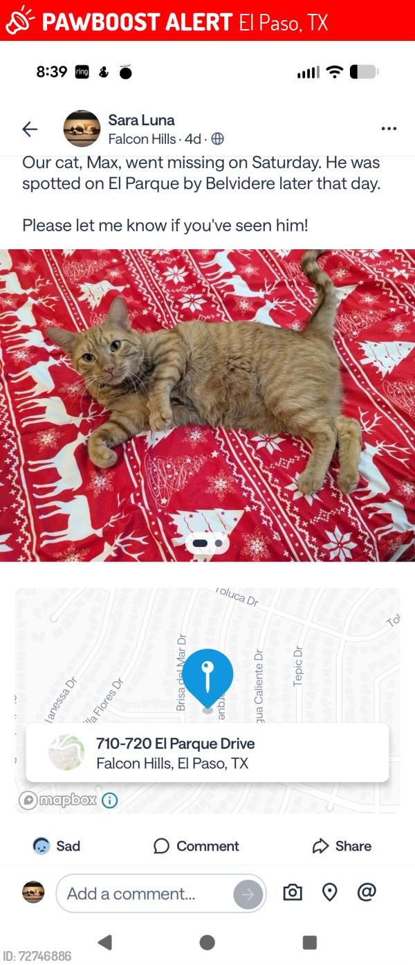 Lost Male Cat last seen Espolon and Villa Vanessa, El Paso, TX 79912