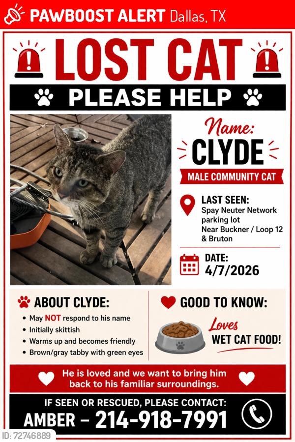 Lost Male Cat last seen Loop 12/Buckner near Bruton , Dallas, TX 75227