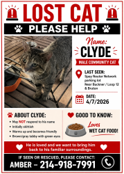 Lost Male Cat last seen Loop 12/Buckner near Bruton , Dallas, TX 75227
