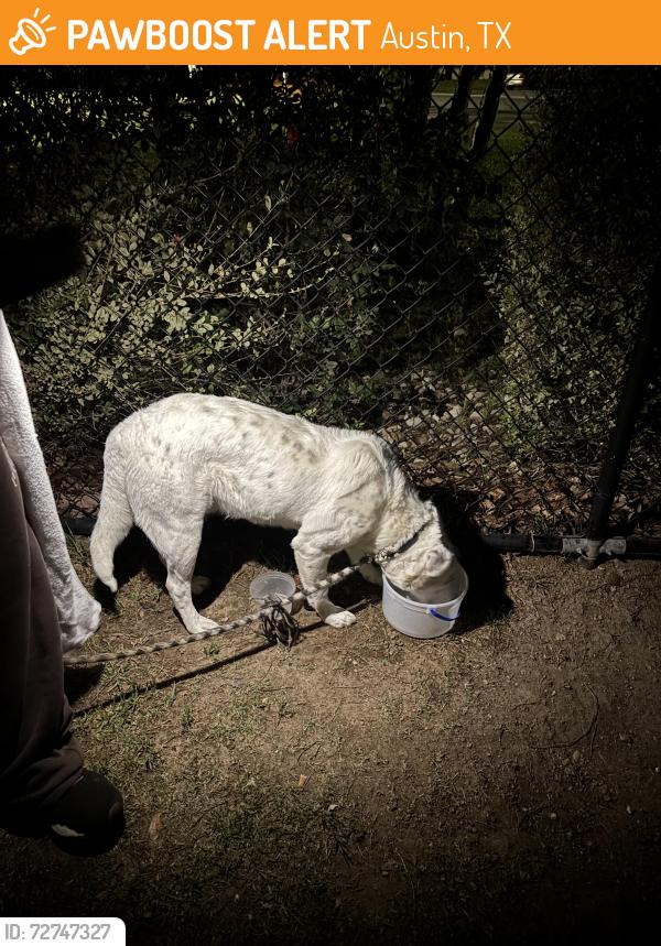 Found/Stray Male Dog last seen River ridge est community , Austin, TX 78747