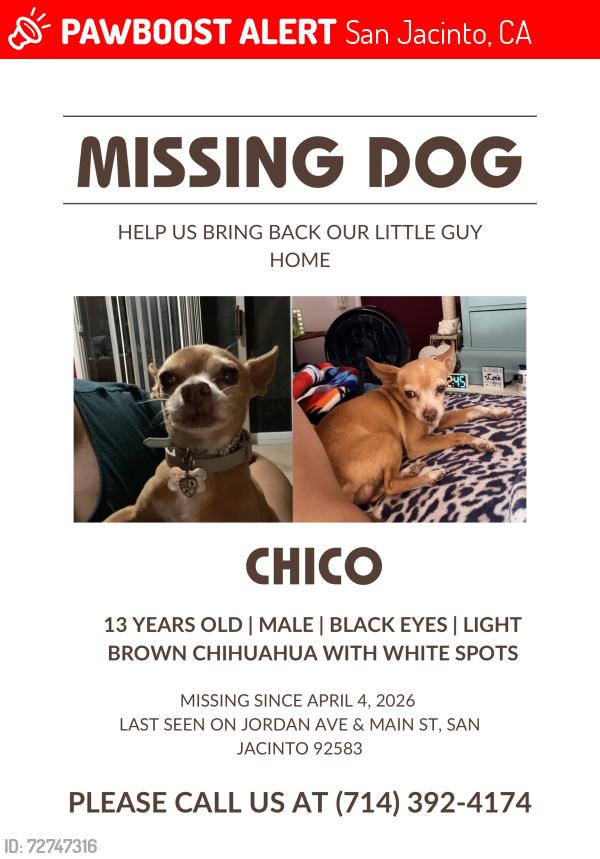 Lost Male Dog last seen Main st San Jacinto CA, San Jacinto, CA 92583
