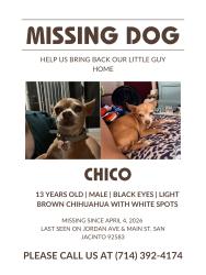 Lost Male Dog last seen Main st San Jacinto CA, San Jacinto, CA 92583