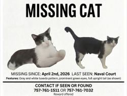 Lost Male Cat last seen Naval ct, Crestview, Crestview, FL 32539
