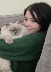 Lost Male Cat last seen Maplewood & Main St, Sylvania, OH 43560