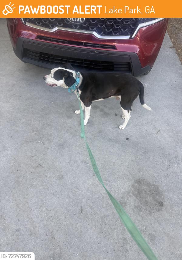 Found/Stray Male Dog last seen Lake park ga, Lake Park, GA 31636