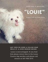Lost Male Dog last seen Collingwood, Art Museum. Old West End Area, Downtown Areas , Toledo, OH 43604