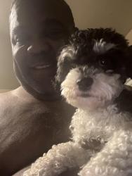 Lost Female Dog last seen Daily and hempstead, Cincinnati, OH 45231