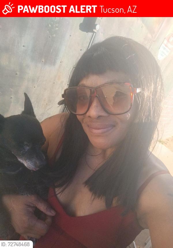 Lost Male Dog last seen 12th and40th, Tucson, AZ 85713
