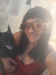 Lost Male Dog last seen 12th and40th, Tucson, AZ 85713