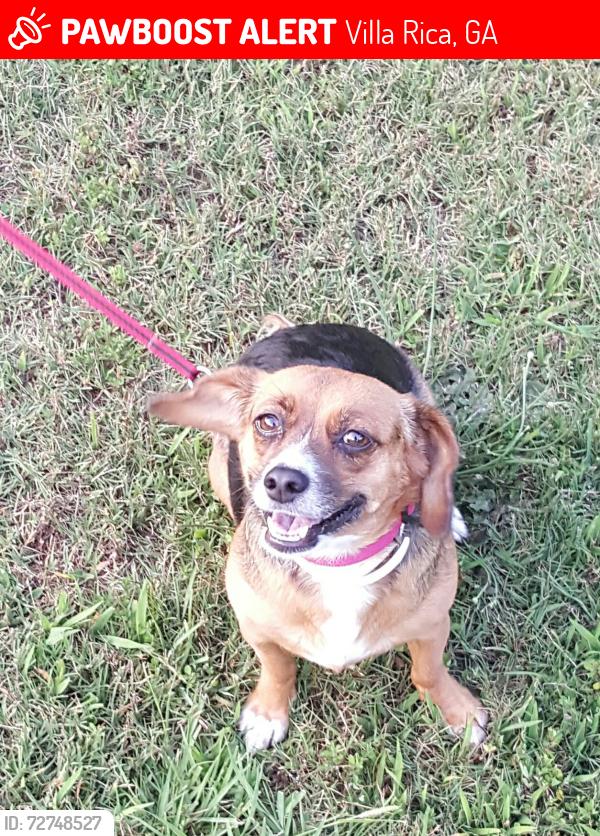 Lost Female Dog last seen Moss Ferry Farm, Villa Rica, GA 30180