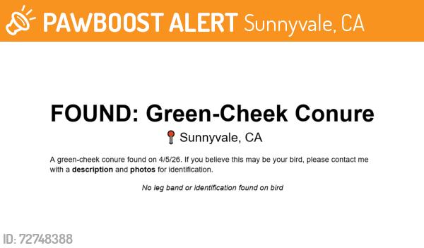Found/Stray Unknown Bird last seen Tasman Dr & Morse Ave, Sunnyvale, CA 94089, Sunnyvale, CA 94086